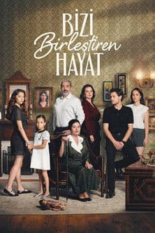 Bizi Birleştiren Hayat posteri