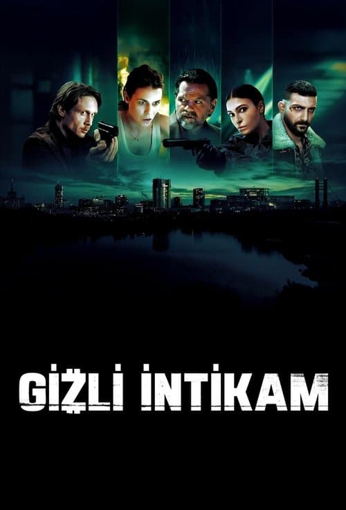 Gizli İntikam posteri