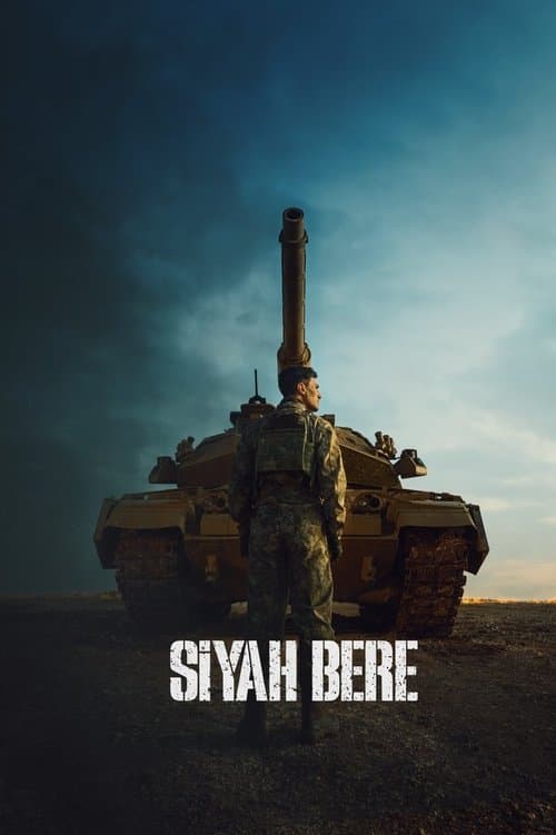 Siyah Bere posteri