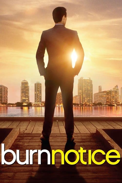 Burn Notice posteri