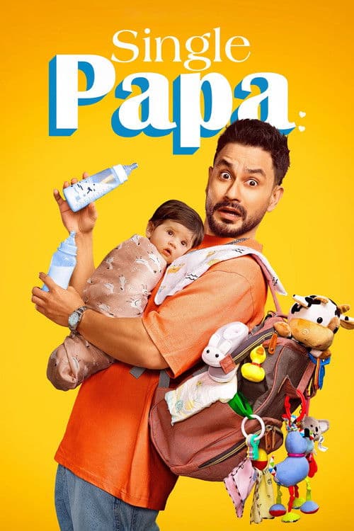 Bekâr Baba posteri