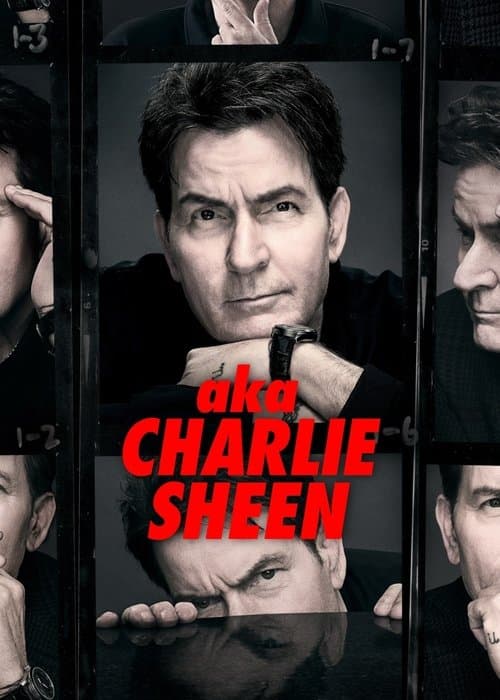Namıdiğer Charlie Sheen posteri