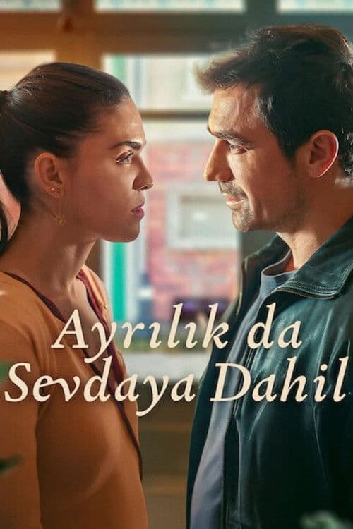 Ayrılık da Sevdaya Dahil posteri