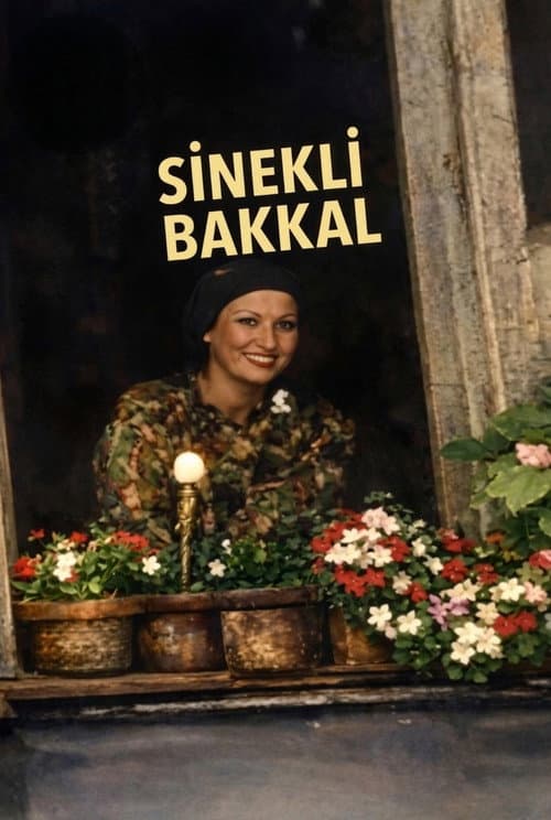 Sinekli Bakkal posteri