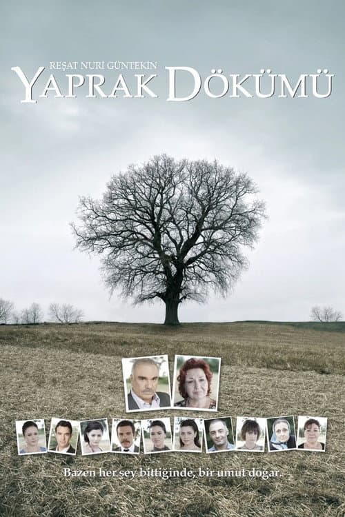 Yaprak Dökümü posteri