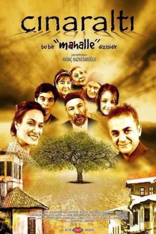 Çınaraltı posteri