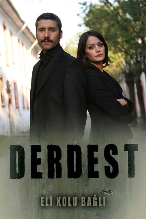 Derdest posteri