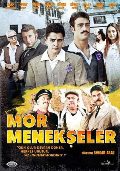 Mor Menekşeler posteri