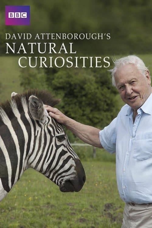 David Attenborough's Natural Curiosities posteri