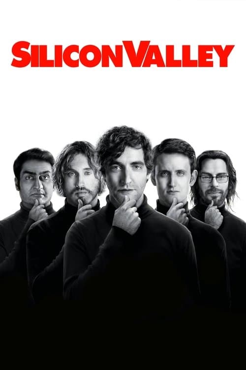 Silikon Vadisi posteri