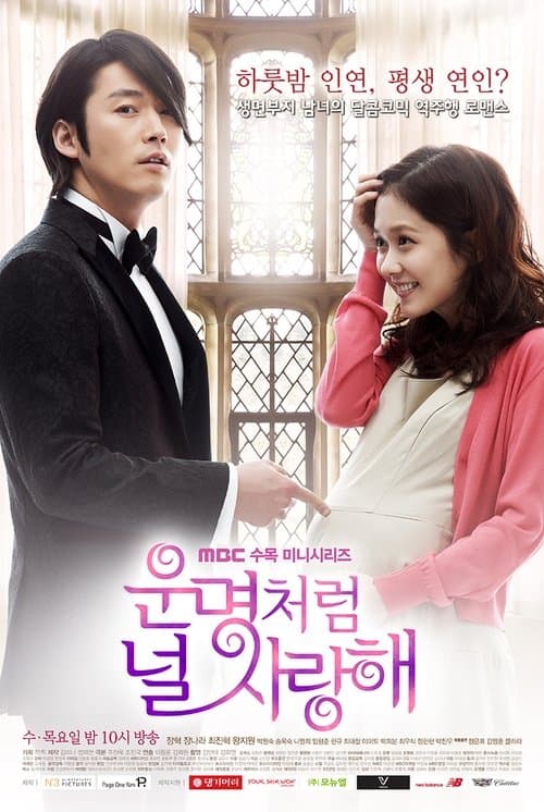 운명처럼 널 사랑해 posteri