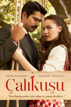 Çalıkuşu posteri