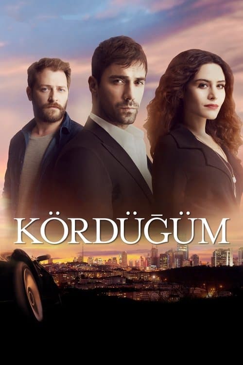 Kördüğüm posteri