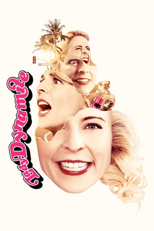 Lady Dynamite posteri