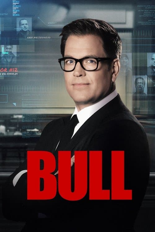 Bull posteri