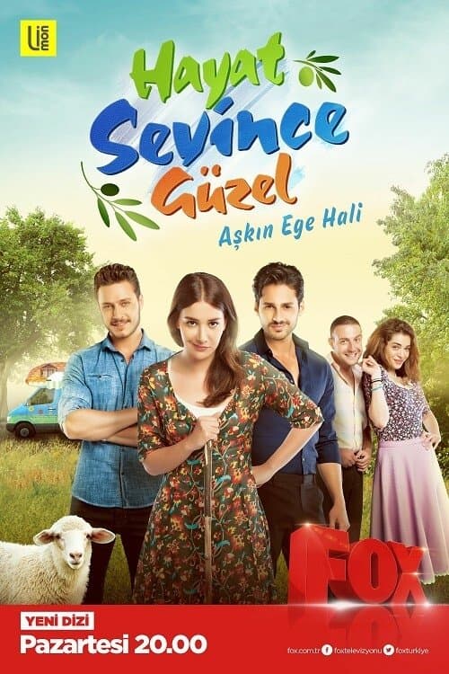 Hayat Sevince Güzel posteri