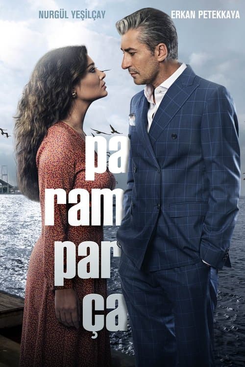 Paramparça posteri