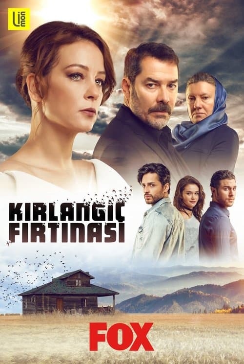 Kırlangıç Fırtınası posteri