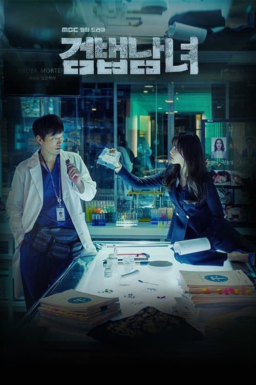 검법남녀 posteri