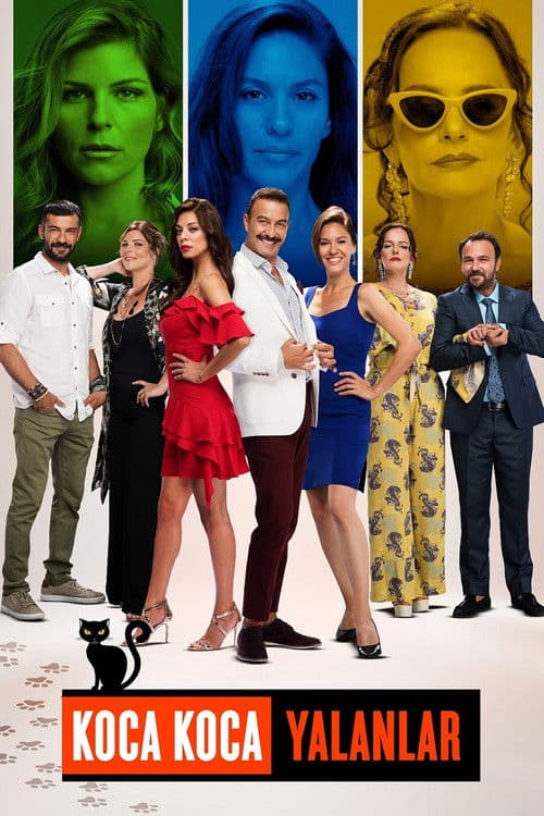 Koca Koca Yalanlar posteri