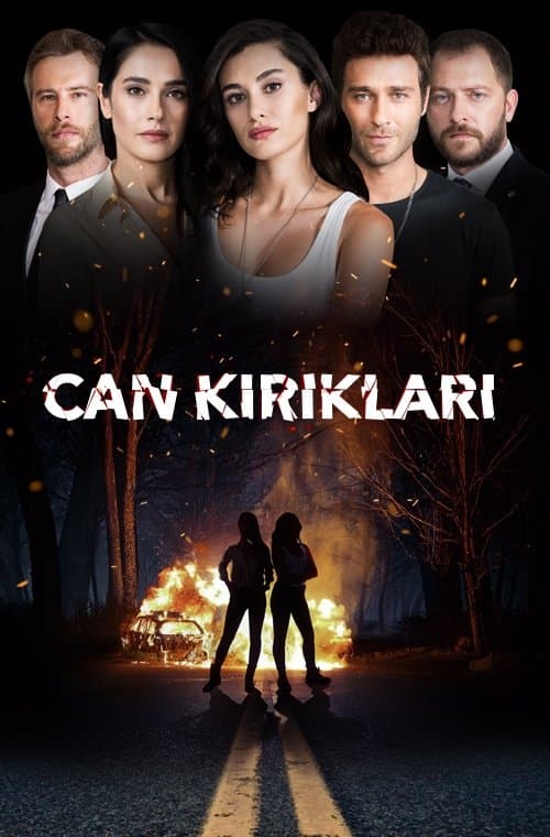 Can Kırıkları posteri