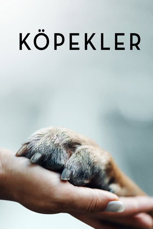Köpekler posteri