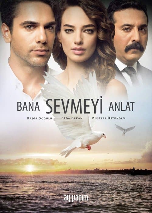 Bana Sevmeyi Anlat posteri