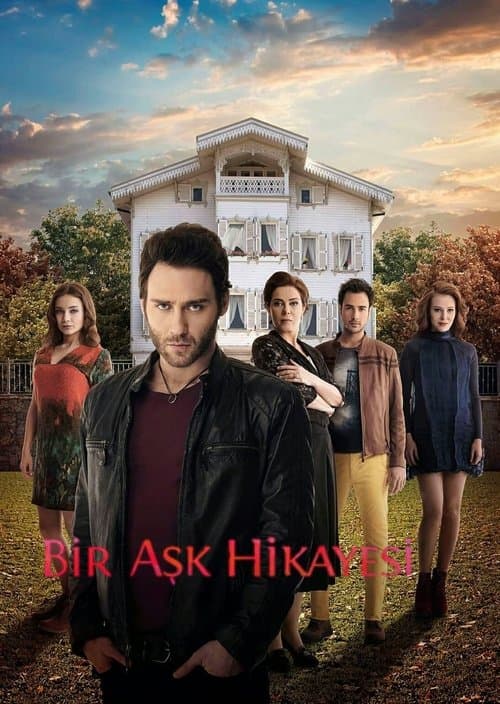 Bir Aşk Hikayesi posteri