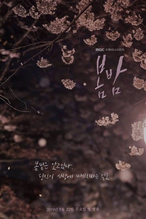 One Spring Night posteri