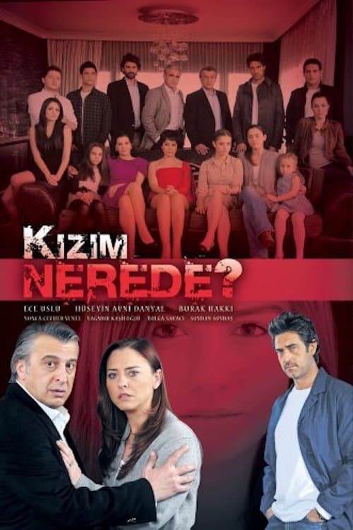 Kızım Nerede? posteri