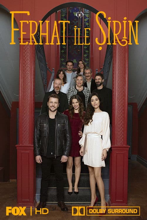 Ferhat ile Şirin posteri