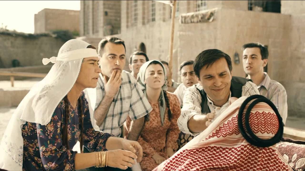 Hükümet Kadın serisi