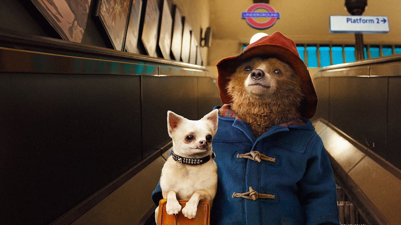 Ayı Paddington serisi