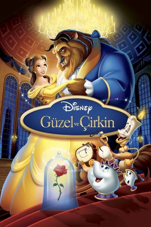 Güzel ve Çirkin posteri