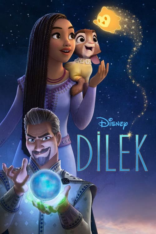 Dilek posteri
