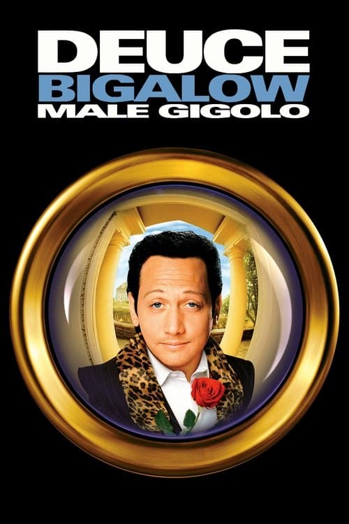 Erkek Jigolo posteri