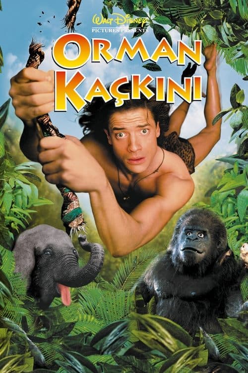 Orman Kaçkını posteri