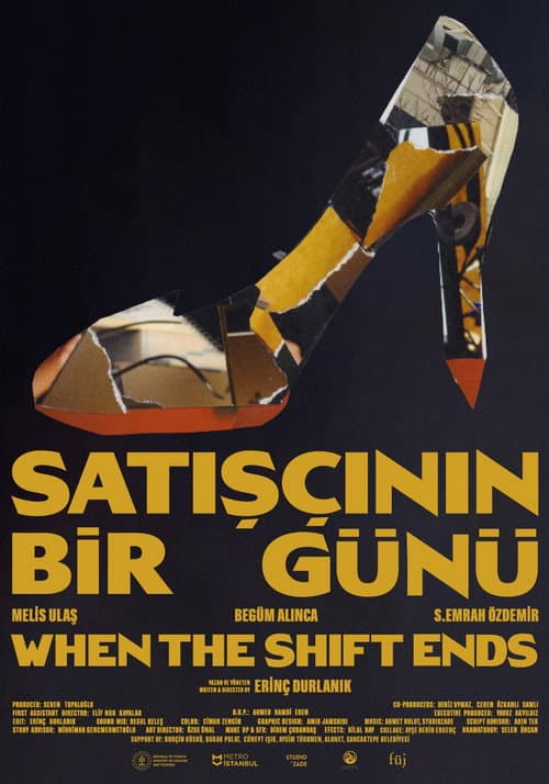 Satışçının Bir Günü posteri