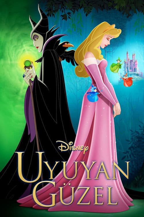 Uyuyan Güzel posteri