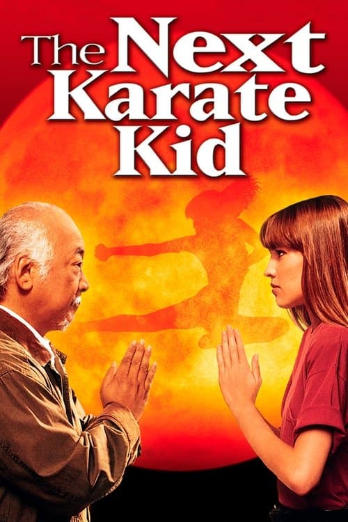 Karate Kid 4 posteri