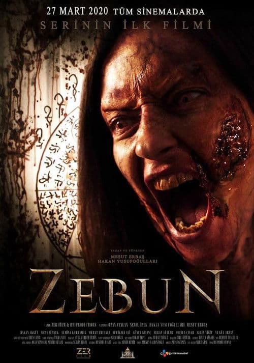 Zebun posteri