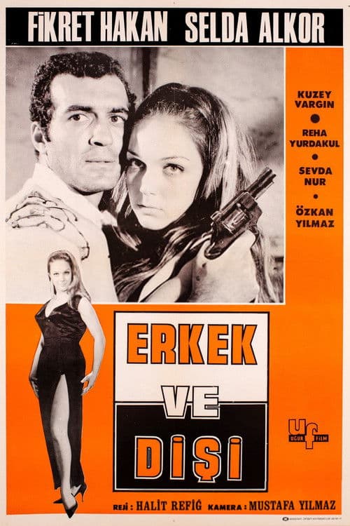 Erkek ve Dişi posteri