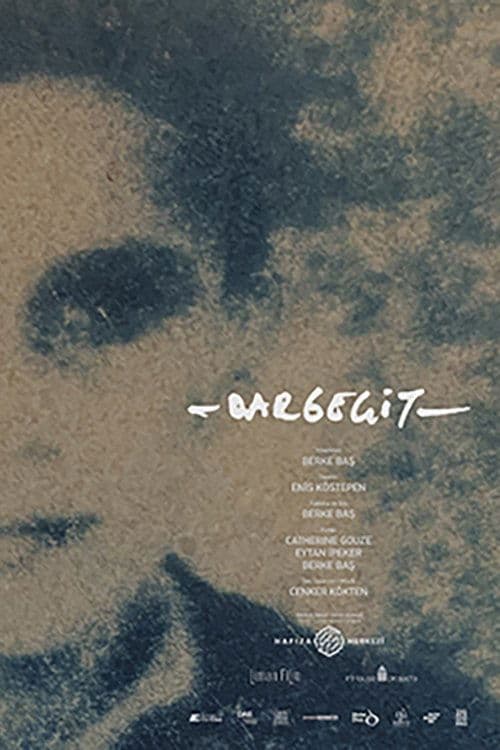 Dargeçit posteri