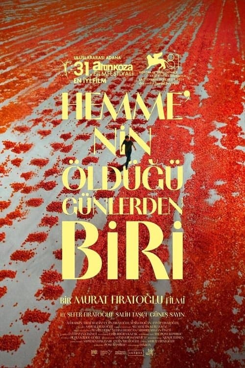 Hemme’nin Öldüğü Günlerden Biri posteri