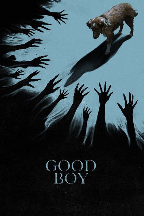 Good Boy posteri