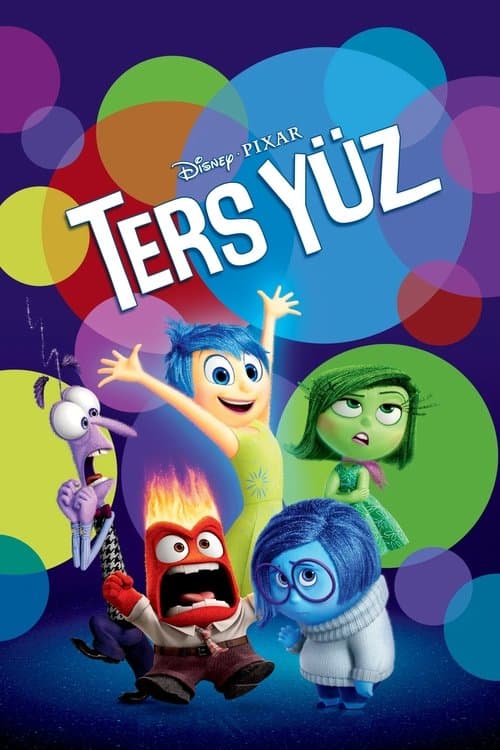 Ters Yüz posteri