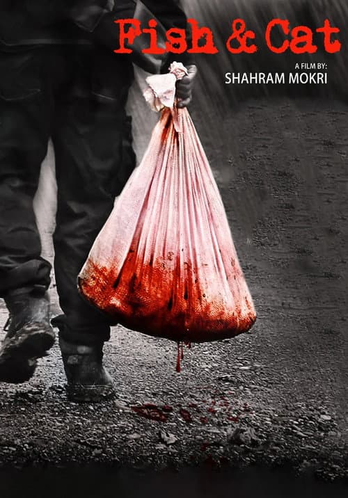 ماهی و گربه posteri