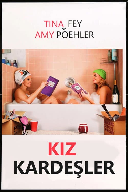 Kız Kardeşler posteri
