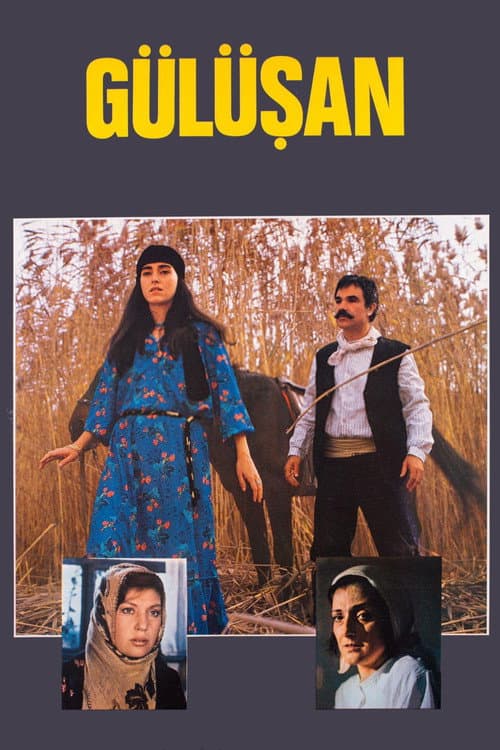 Gülüşan posteri