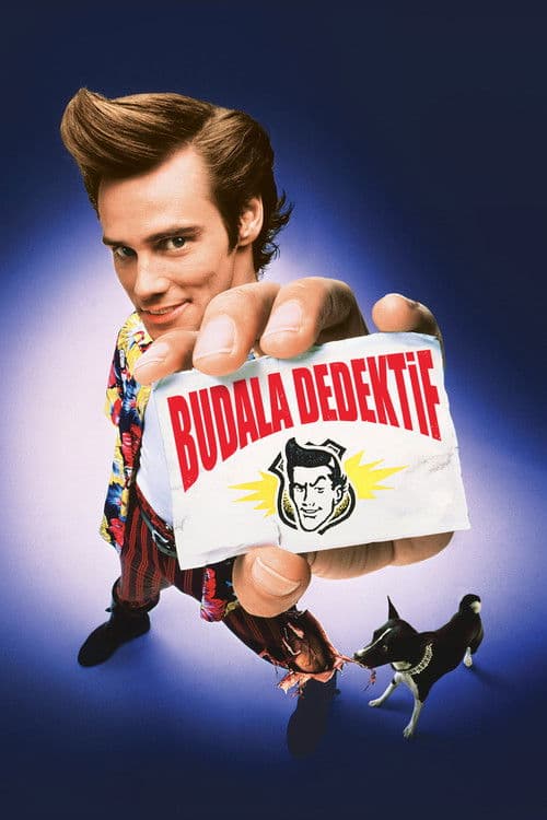 Budala Dedektif posteri